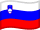 Slovenië flag